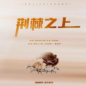 四月电子厂全景沟厕
