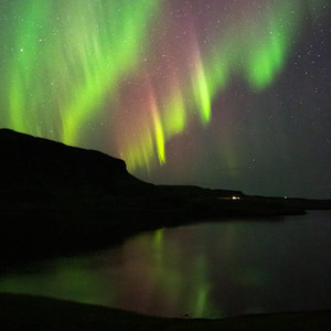 四月电子厂全景沟厕
