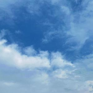 四月电子厂全景沟厕
